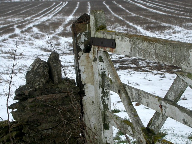 Farm Gate.JPG