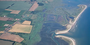 RSPB Titchwell Marsh Appeal 002.jpg